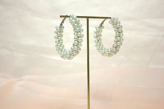 Elegant Pearl Beaded Earrings with Hook Clasp