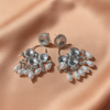 Silver Crystal & Pearl Drop Statement Earrings- Stainless Steel